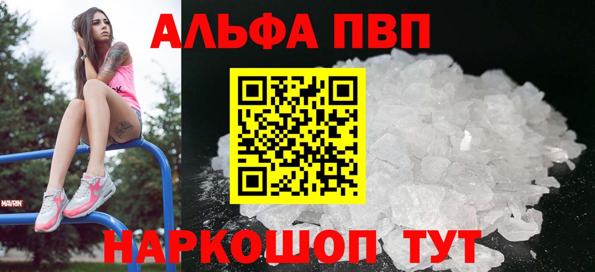 Альфа ПВП СК Лениногорск