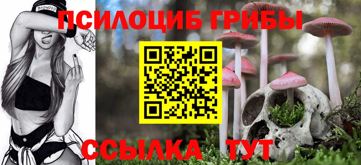 Псилоцибиновые грибы Psilocybe  Вход с VPN  Лениногорск  Галлюциногенные грибы Magic Shrooms 